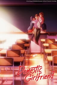 Cover of Domestic na Kanojo