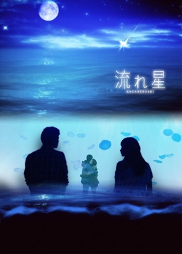 Cover of Nagareboshi (2010)