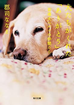Cover of Inutachi ga Kureta Arigatou Moudouken Beruna no Nakamatachi