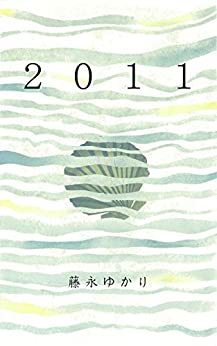 Cover of 2011