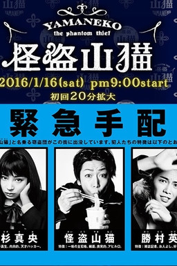 Cover of Kaitou Yamaneko