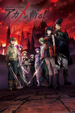 Cover of Akame ga Kill